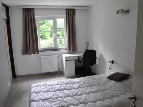 Student room 28 m² in Mons